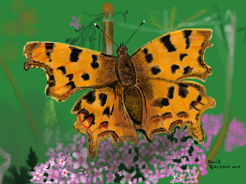 Comma