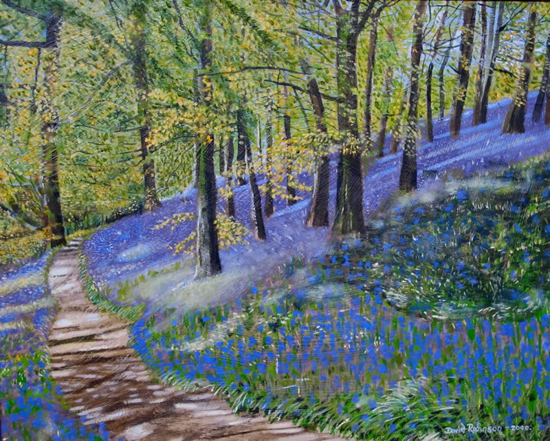 Bluebells