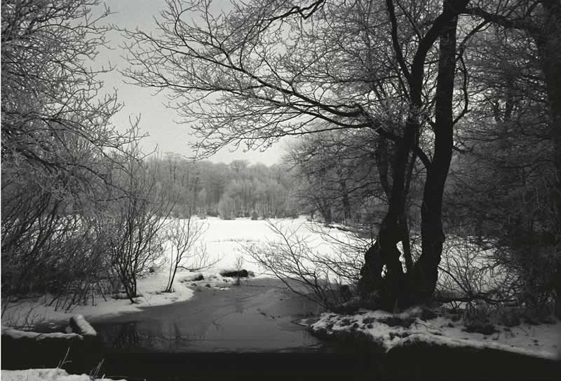 Foxstone Dam