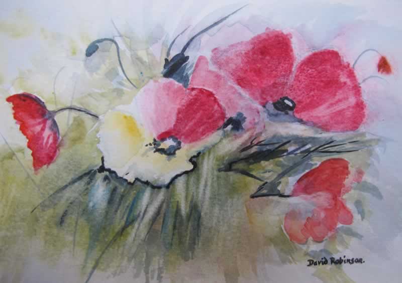 Poppies